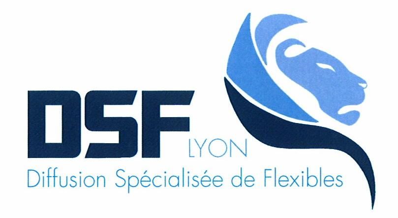 entreprise informatique Villefanche sur Saône Bourg en Bresse Mâcon